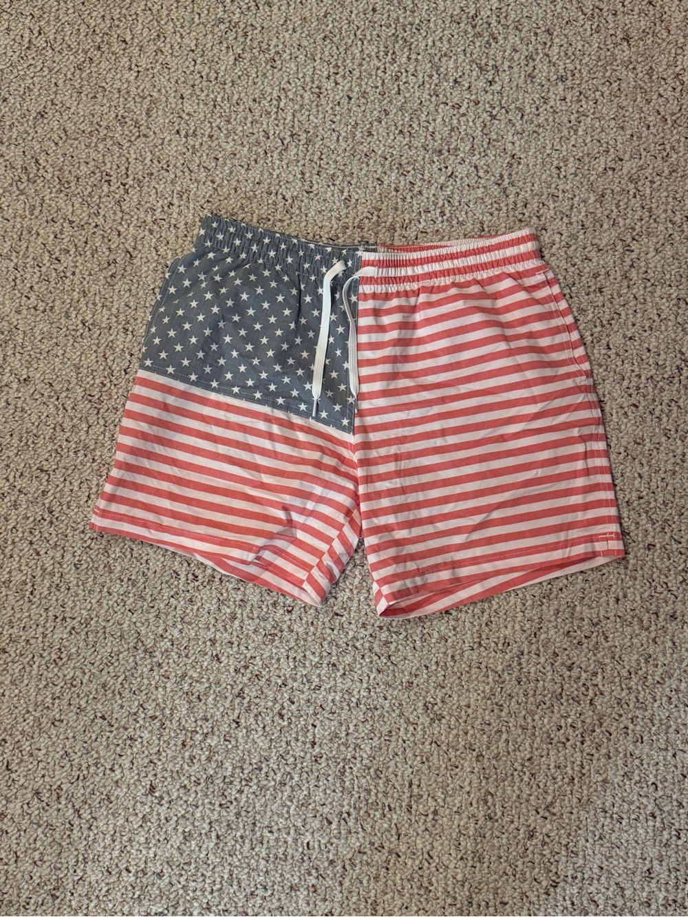 Chubbies Swim Trunk